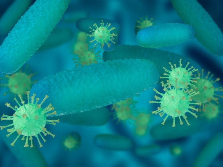 Épidemie présumée d’anthrax en Haïti: les détails de cette bactérie