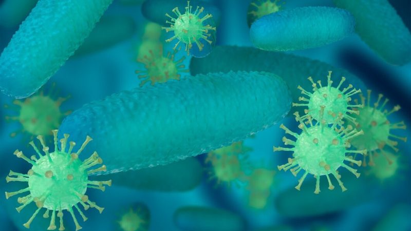 Épidemie présumée d’anthrax en Haïti: les détails de cette bactérie